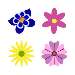 Set of flowers on a white background, flat style, Vector illustration