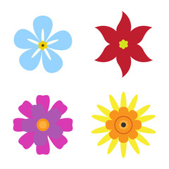 Set of flowers on a white background, flat style, Vector illustration