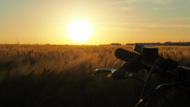 Steering wheel of a bicycle at sunset. A bicycle in the field.