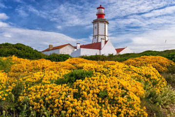 Cabo Espichel with Yellow flowers and a lighthouse. Sesimbra, Portugal.
