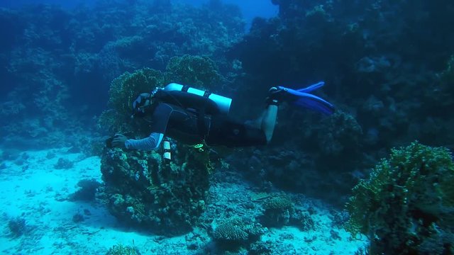 RED SEA, MARSA ALAM, EGYPT, AFRICA - JULE 2017: Scuba diver with a camera sailing next to a coral reef
