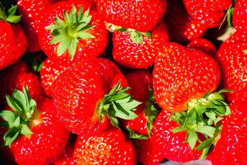Full framed strawberry in a box