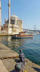 ortakoy