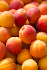 ripe apricots