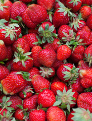 fresh strawberries