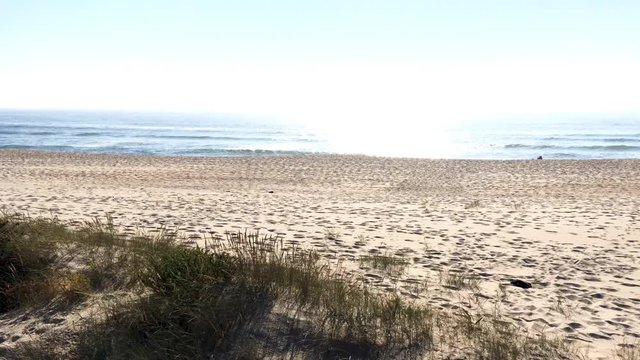 Fly over view of Paramos's beach in Espinho. People who are taking sun baths in the sand along the beach.