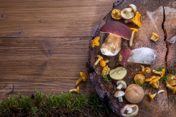 Wild fresh mushrooms on a rustic wooden table. Copyspace.