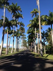 allée Dumanoir,Capesterre belle eau