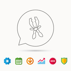 Terminal electrical clips icon. Charging the battery sign. Calendar, Graph chart and Cogwheel signs. Download and Shield web icons. Vector