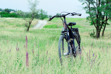 Fototapeta na wymiar Bike in meadow grass and flowers. Rural landscape.