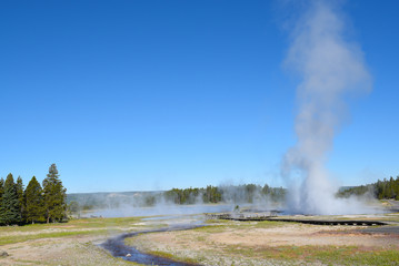 Aretsia Geyser Yellowstone