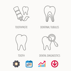 Tooth, dental diagnostics and toothpaste icons. Dentinal tubules linear sign. Calendar, Graph chart and Cogwheel signs. Download colored web icon. Vector