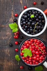 Fresh delicious organic red and black currants