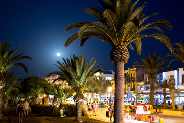 Fototapeta premium Green palms by moonlight, promenade on Crete