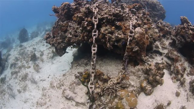Environmental damage on a tropical coral reef caused by the careless dropping on an anchor