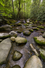 Rocky Stream in Early Summer
