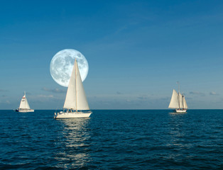 Moonlight Sail