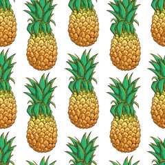 Seamless Pattern of Pineapple With Color on White Background