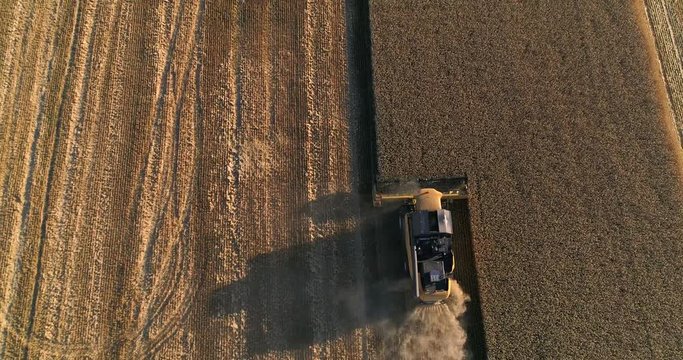 Aerial View. Collecting Of a Harvest Of Wheat