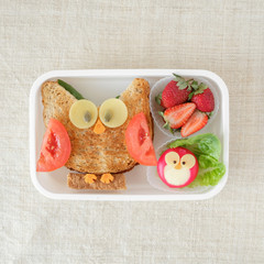 Red Owl lunch box, fun food art for kids
