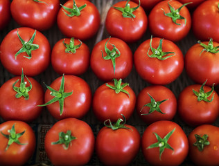 Fresh Tomato Vegetable Harvest From Farm