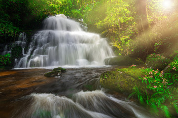 Obraz premium Man Daeng waterfall.