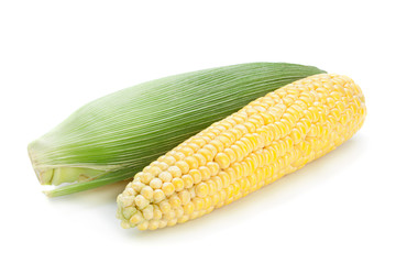 Raw sweet corn detail