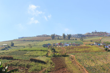 Fototapeta premium Scenery on Phu Thap Boek In Thailand