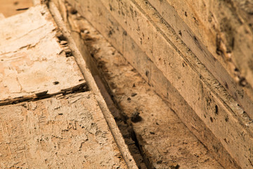 Wood used in construction