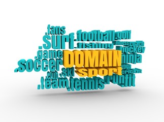 Domain names words cloud relative to sport theme. Internet and web telecommunication concept. 3D rendering