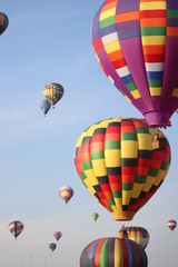 hot air balloons in the sky