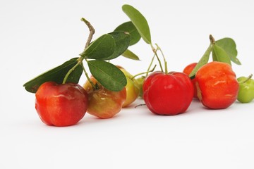 West Indian Cherry with leaf isolate on white background, Barbados cherry