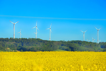 wind power plant. Wind Turbine for alternative energy in the rapeseed field. 