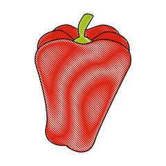 isolated cute pepper icon vector illustration graphic design