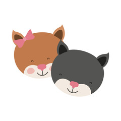 colorful caricature faces of kitten couple animal happiness expression vector illustration