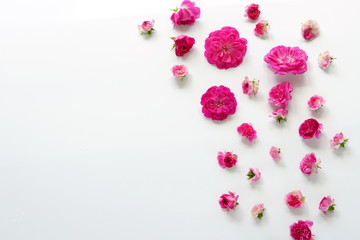 Frame flowers pattern from pink roses on white background. Top view. Copy space