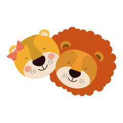 Fototapeta premium colorful caricature faces of couple lion and lioness happiness expression vector illustration