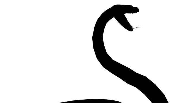 Snake & jungle carpet python attack,sliding decorative non venomous,wild animal herpetology sketch silhouette background.