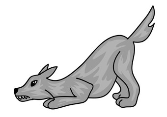 wilk © monikakosz