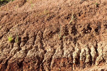 Climate change and unattended wasteland