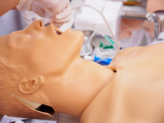 Close-up side shot of a physician practicing the placement of a nasogastric (NG) tube on a plastic dummy. Healthcare and medical education concept. - 164661993