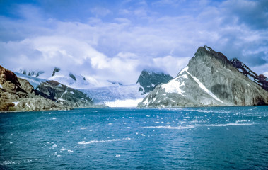 Fototapeta na wymiar South Georgia Glacier