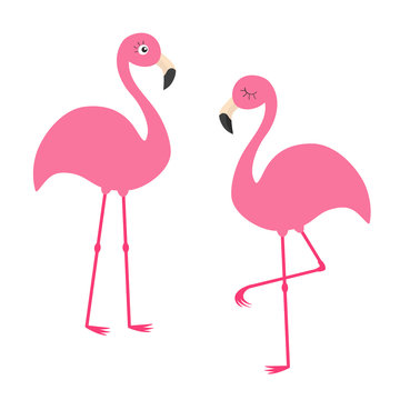 Two pink flamingo set. Exotic tropical bird with eyes. Zoo animal kids collection. Cute cartoon character. Decoration element. Flat design. White background. Isolated.