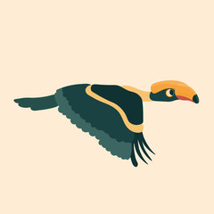 Hornbill bird. Vector cartoon tropical bird made in flat style. © musicphone1