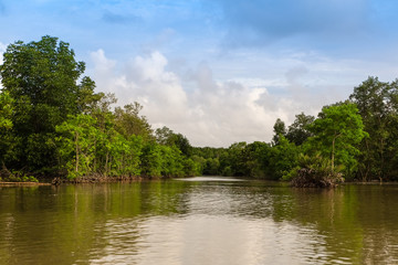 Fototapeta premium Rural river landscape summer river with bright sky and cloud