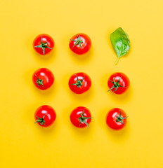 Above view at tomatoes and basil