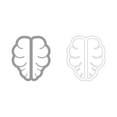 Brain the grey set icon .