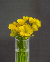 Bouquet of flowering meadow flowers in a vase