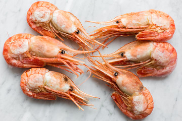 Beautiful fresh shrimps on a light marble background