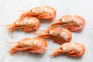 Beautiful fresh shrimps on a light marble background